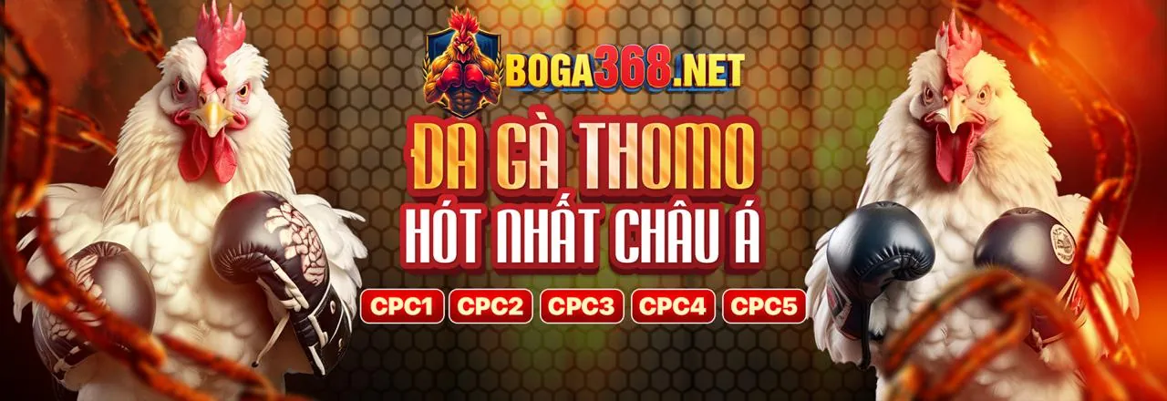 Đá Gà Trực Tuyến Hấp Dẫn tại 123b website chính thức